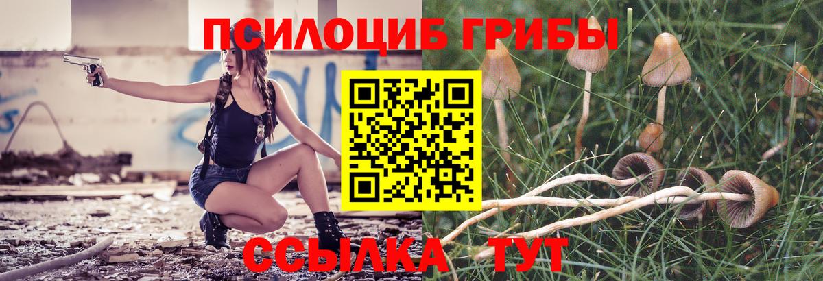 Псилоцибиновые грибы мухоморы Коломна
